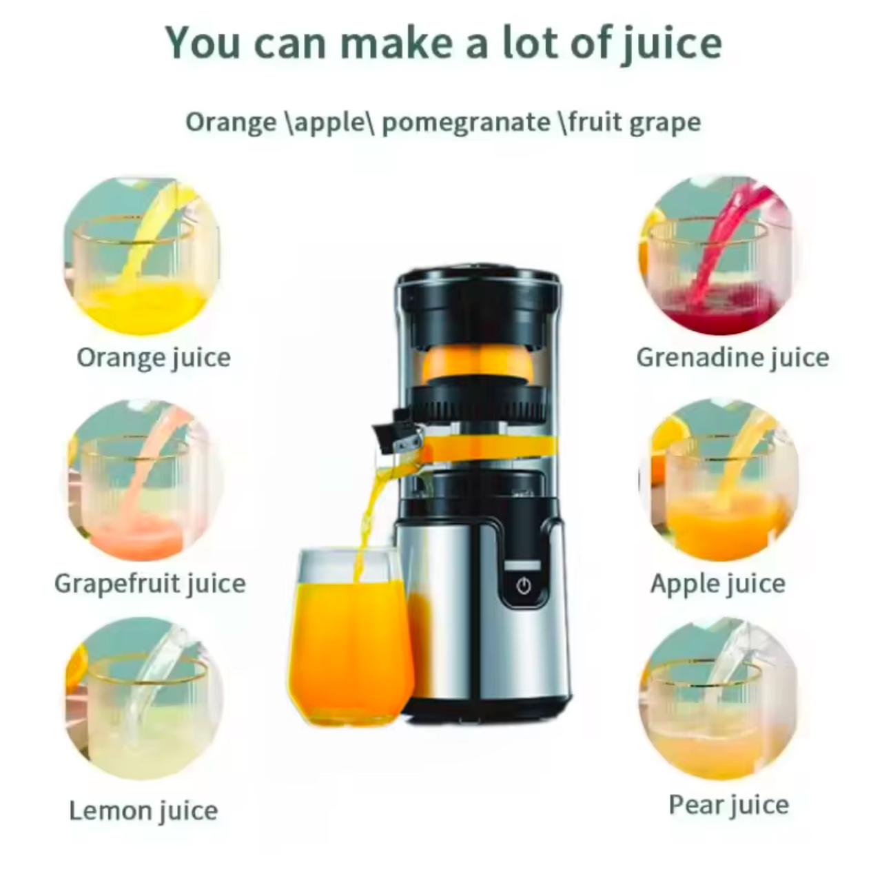 Cold Press Juicer